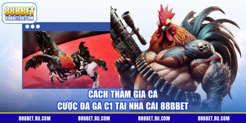 Cách tham gia cá cược đá gà C1 tại nhà cái 88BBET