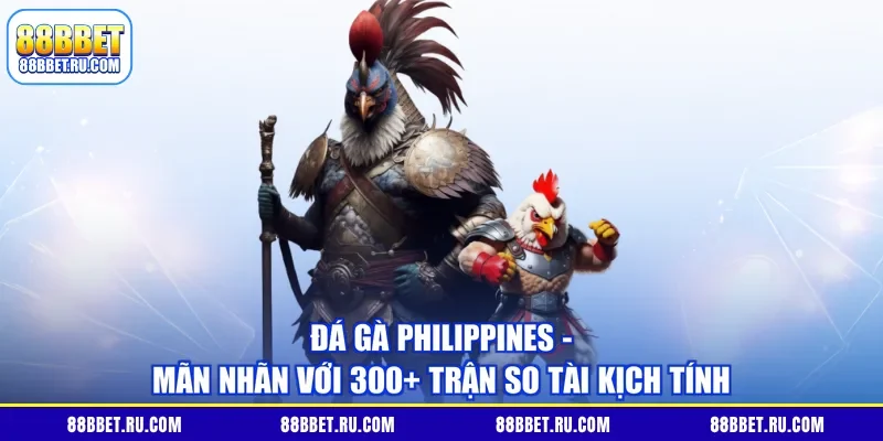 Đá Gà Philippines - Mãn Nhãn Với 300+ Trận So Tài Kịch Tính