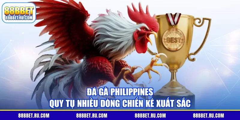 Đá gà Philippines quy tụ nhiều dòng chiến kê xuất sắc