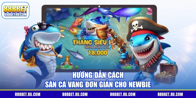 Hướng dẫn cách săn cá vàng đơn giản cho newbie