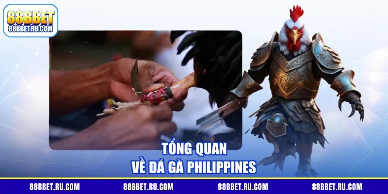 Tổng quan về đá gà Philippines